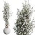 HQ HousePlants Tropez Planter Cherry Blossom Decorative Tree04 - Thumbnail 4