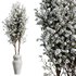 HQ HousePlants Tropez Planter Cherry Blossom Decorative Tree03 - Thumbnail 4