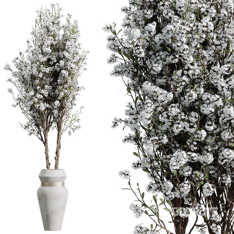 HQ HousePlants Tropez Planter Cherry Blossom Decorative Tree03 Image 4