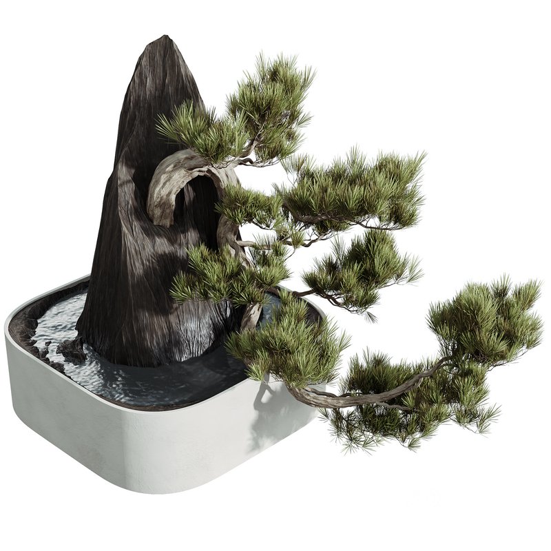 HQ HousePlants Interior Decorative Bonsai Mission Kalamata Leccino Olive Set11 Image 2