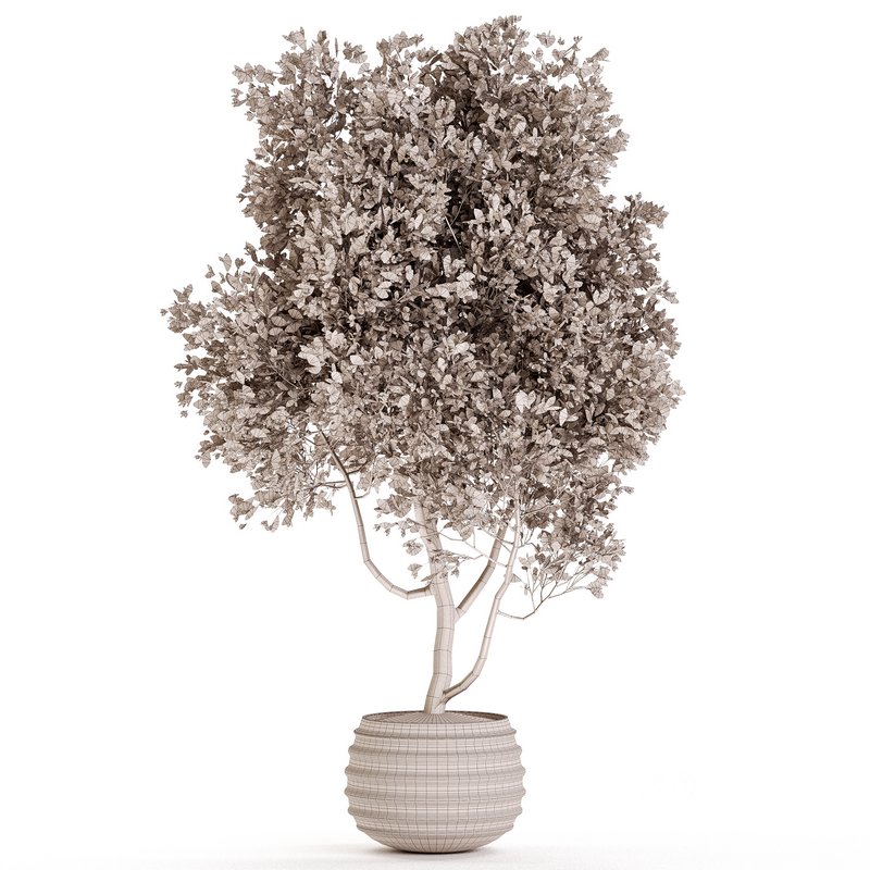 Indoor Plant Set 09 Image 3