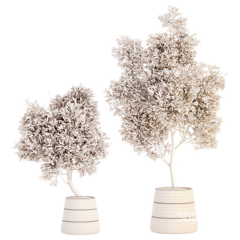 Plant Set 05 Image 4