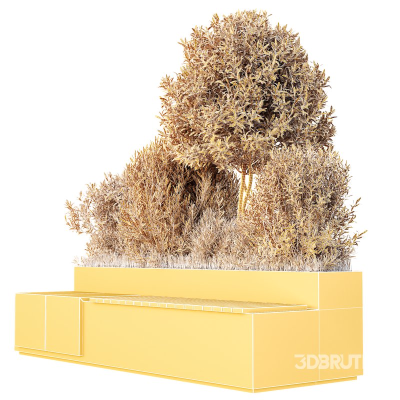 HQ Outdoor Plants Wilsonii Chemlali Olive Bench Set012 Image 4