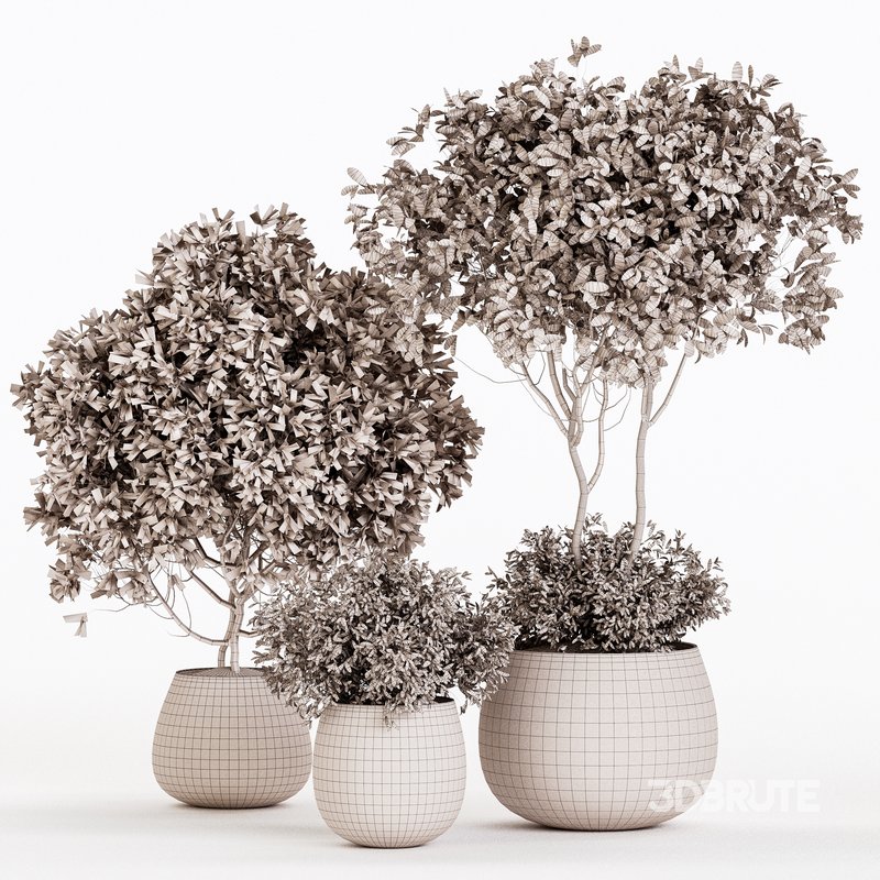 Indoor Plant Set 07 Image 6