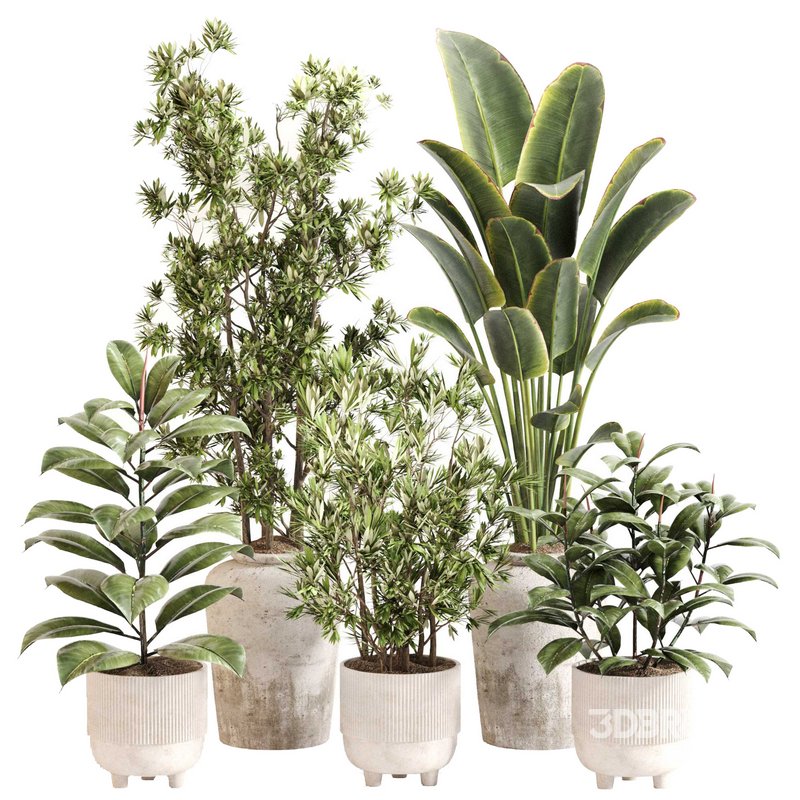Indoor Plant Set 0110 Image 1