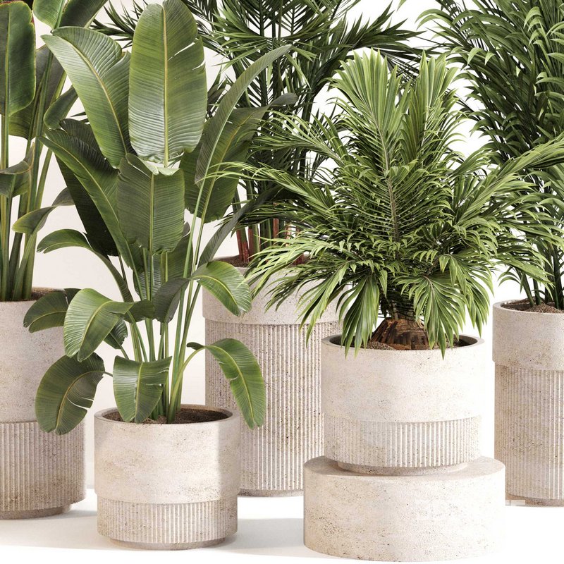 Indoor Plant Set 0112 Image 2