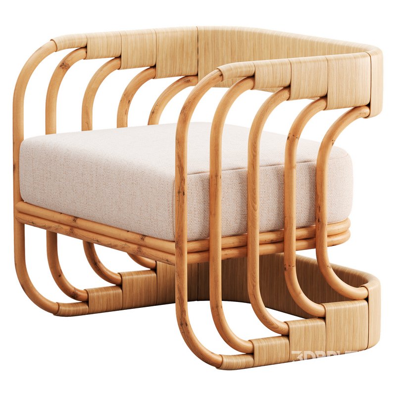 Serafina Occasional Chair Image 1