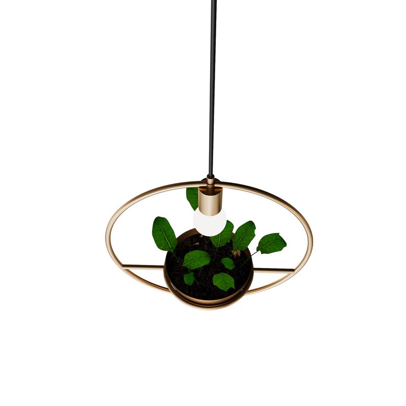 Gold-Pendant lamp Image 2