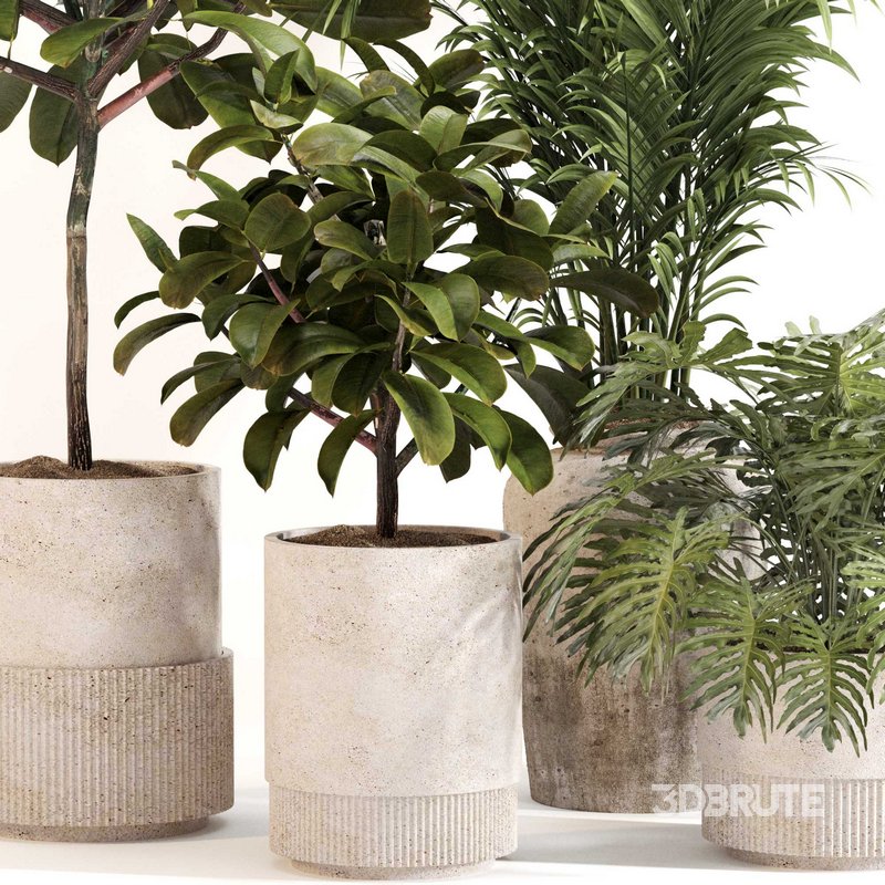 Indoor Plant Set 0111 Image 3