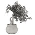 pot of bougainvillea tree - Thumbnail 3