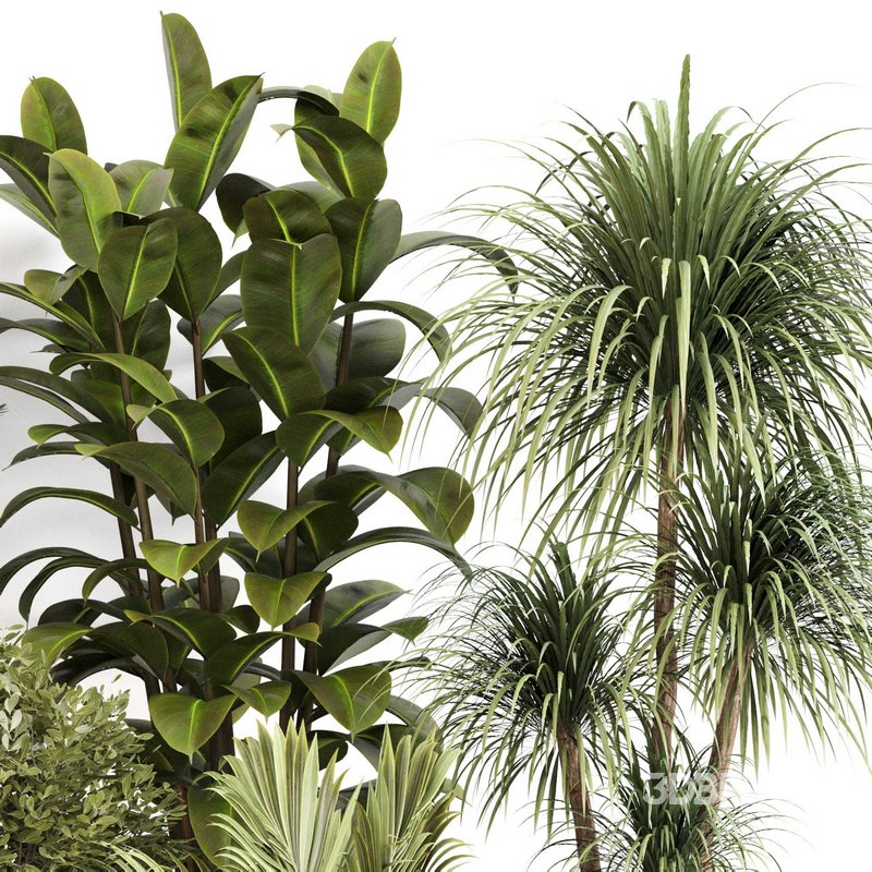 Indoor Plant Set 0109 Image 4