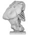 body male statue - Thumbnail 5