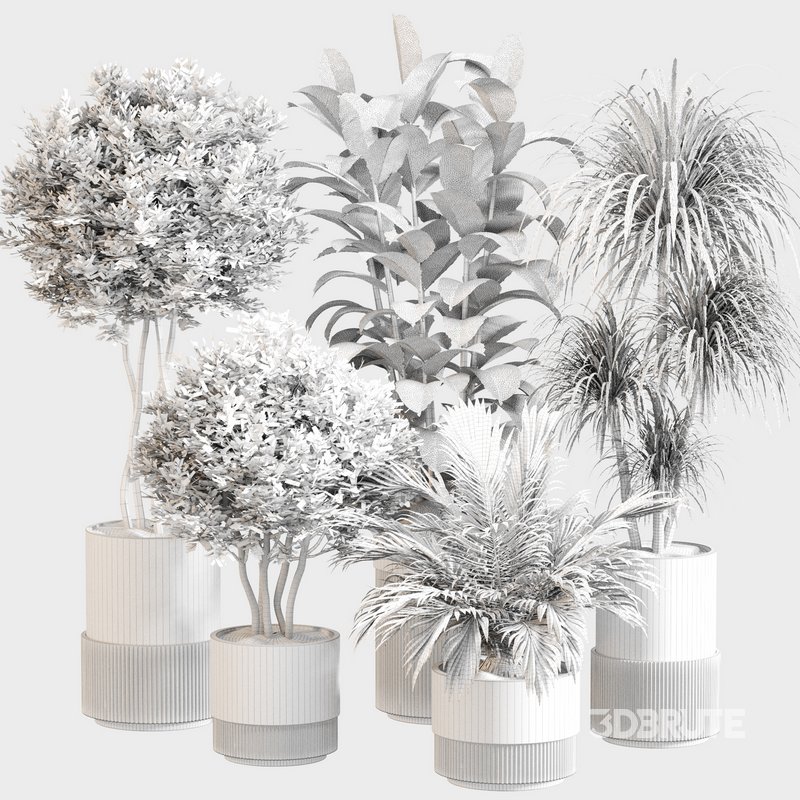 Indoor Plant Set 0109 Image 3