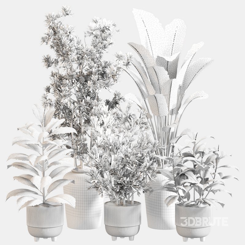 Indoor Plant Set 0110 Image 5