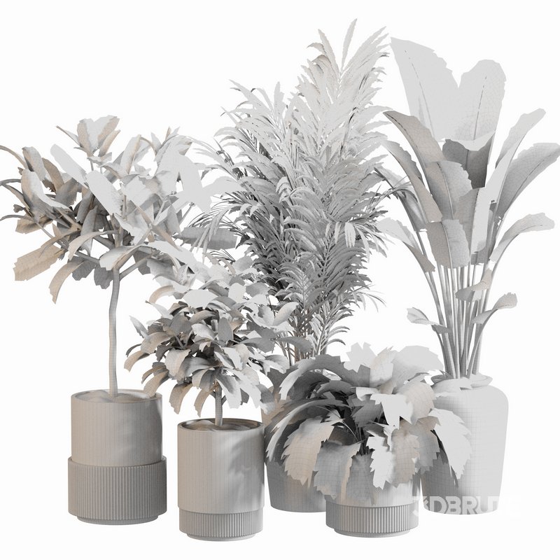 Indoor Plant Set 0111 Image 4