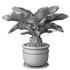 sago palm tree - Thumbnail 4
