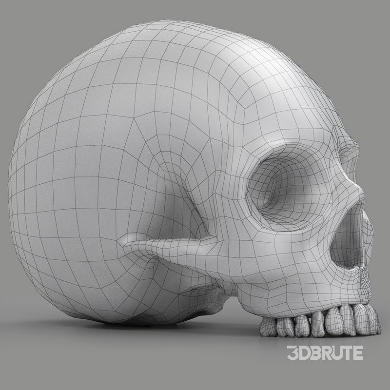 black skull head Image 8