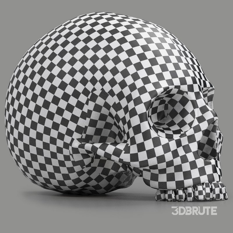 black skull head Image 7