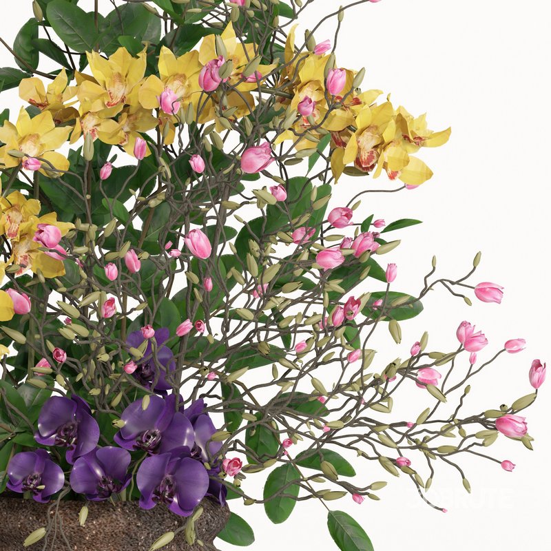 bouquet set05 collection cimbydium orchid Image 2