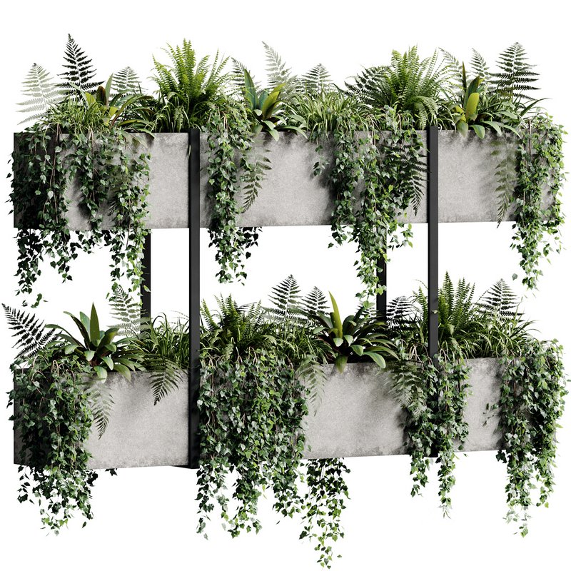 Indoor Plant 22 Image 2