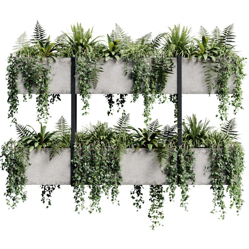 Indoor Plant 22 Image 1