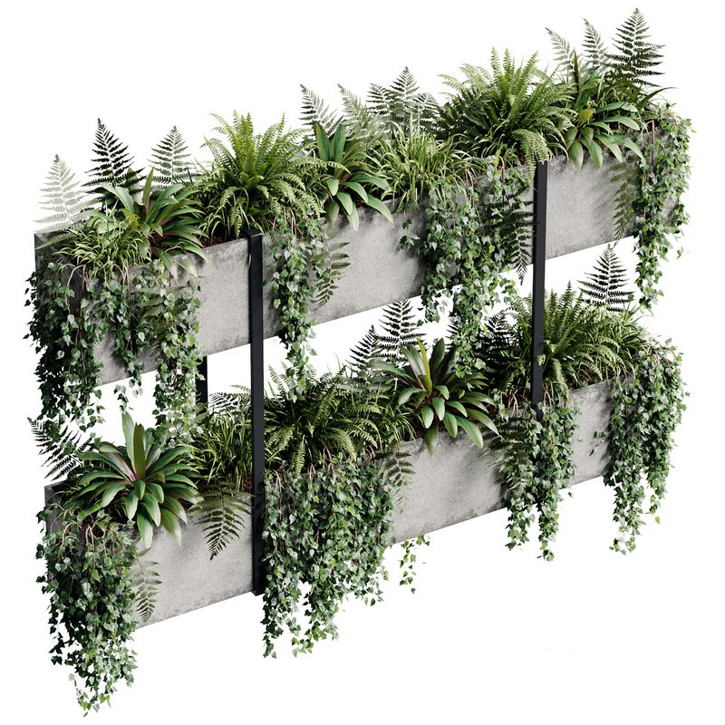 Indoor Plant 22 Image 4