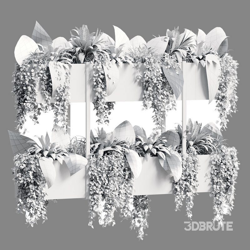 Indoor Plant 22 Image 5