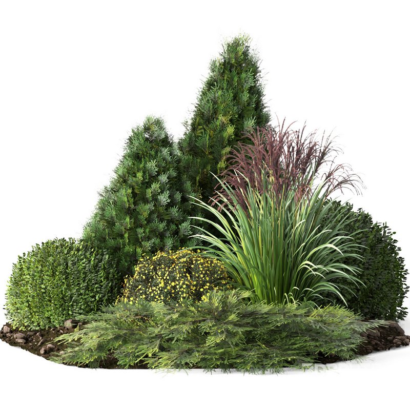 outdoor garden tree plant015 collection Image 1