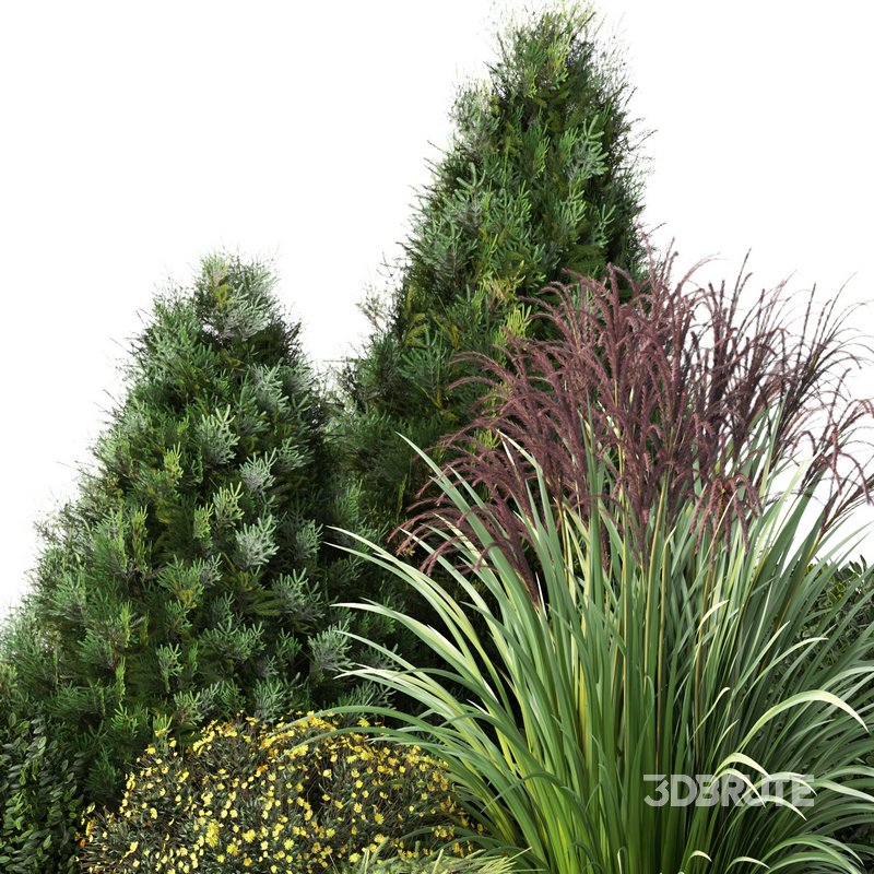 outdoor garden tree plant015 collection Image 2