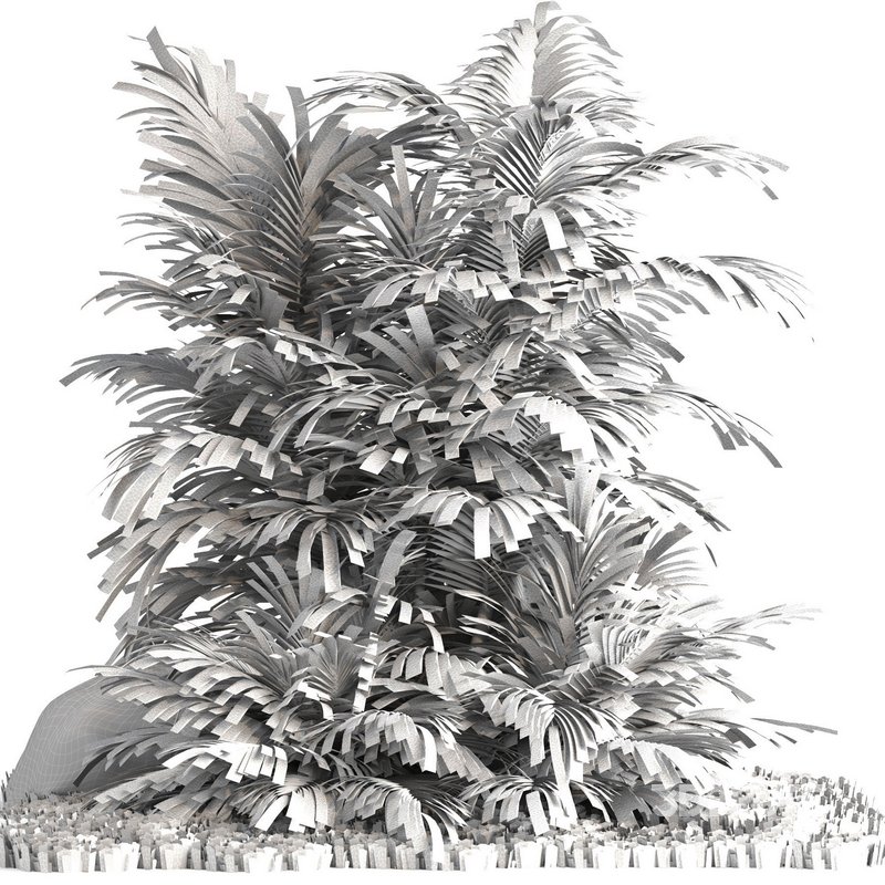 outdoor garden tree plant014 palm tree Image 4