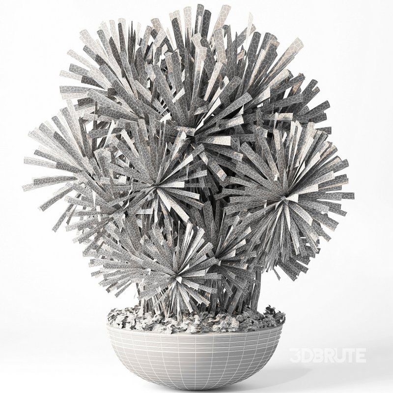 indoor plant set014 palm tree plant Image 4