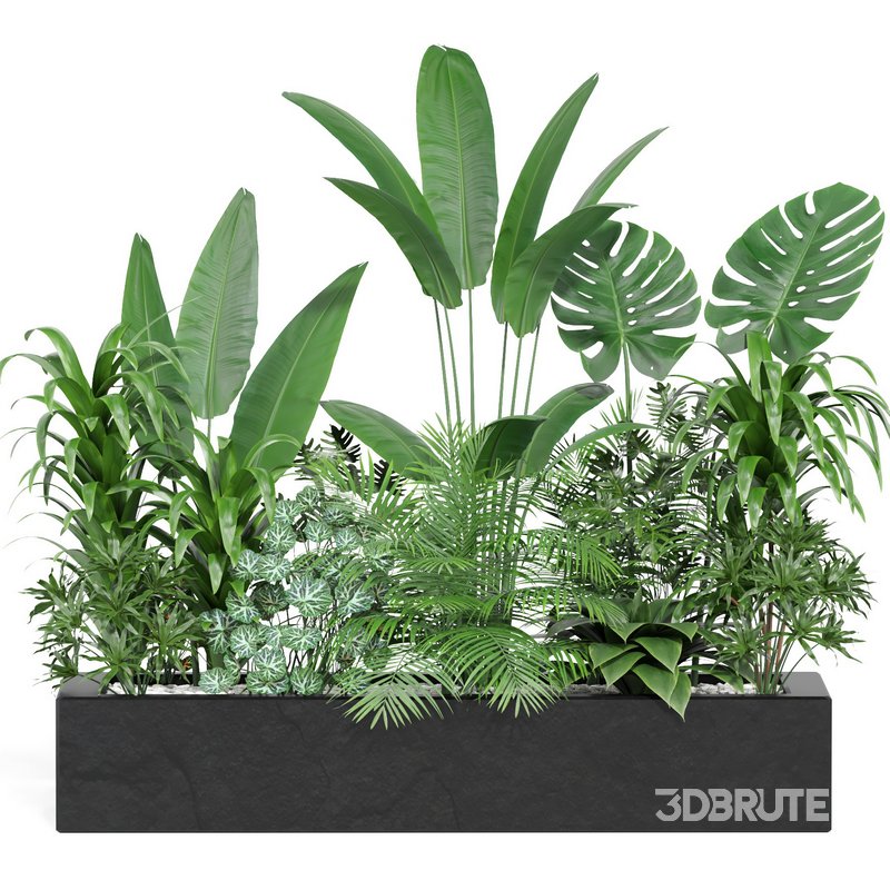 indoor outdoor plant set006 collection Image 1