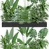 indoor outdoor plant set006 collection - Thumbnail 3