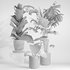 indoor plant set001 - Thumbnail 5