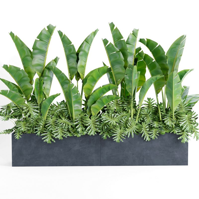 indoor plant set003 Image 2