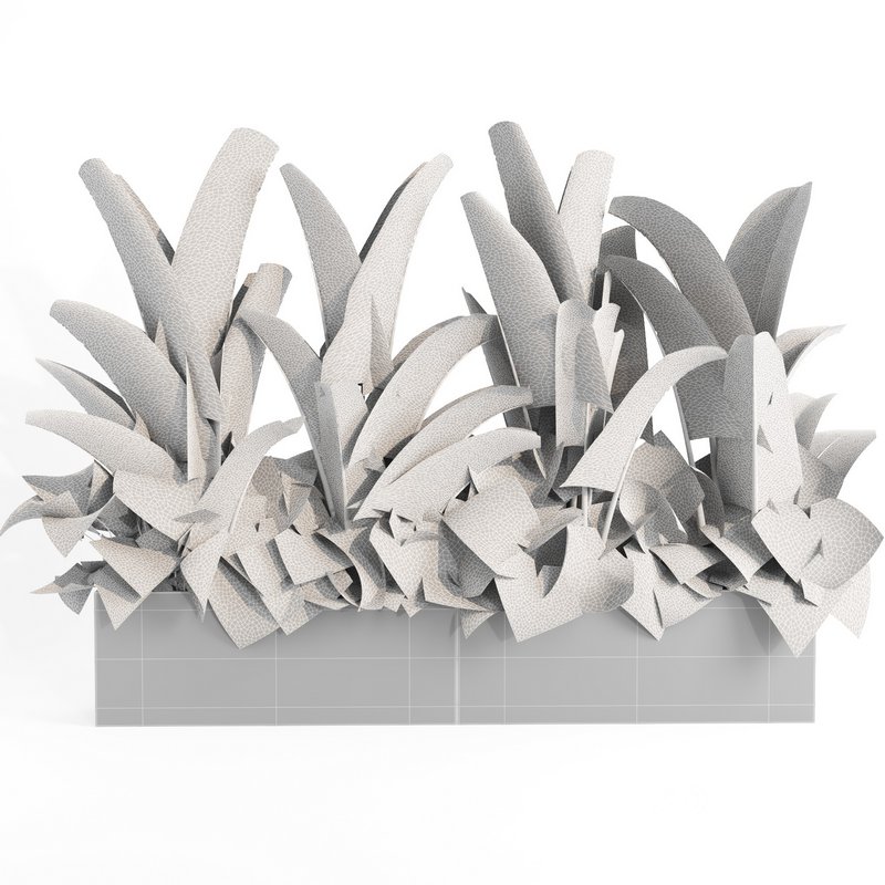 indoor plant set003 Image 4