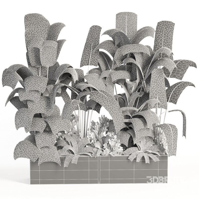 indoor plant set004 Image 4