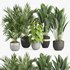 indoor plant set007 collection - Thumbnail 1
