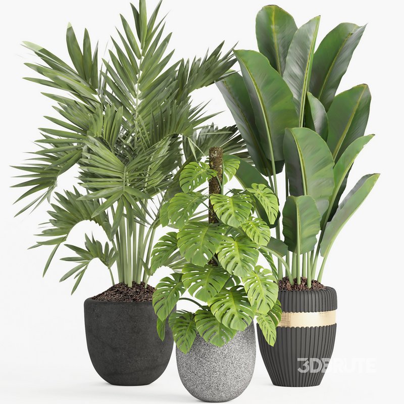 indoor plant set007 collection Image 2