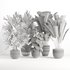 indoor plant set007 collection - Thumbnail 6