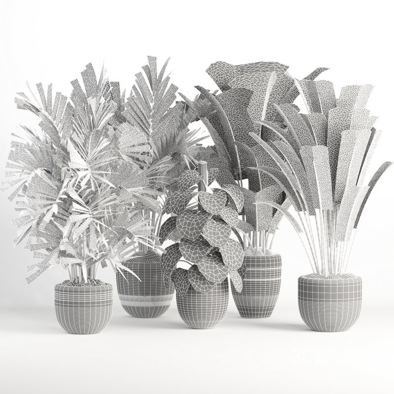 indoor plant set007 collection Image 6