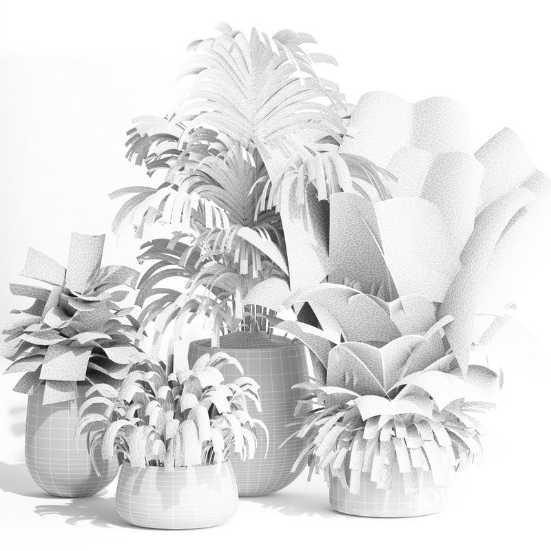 indoor plant set010 collection Image 5