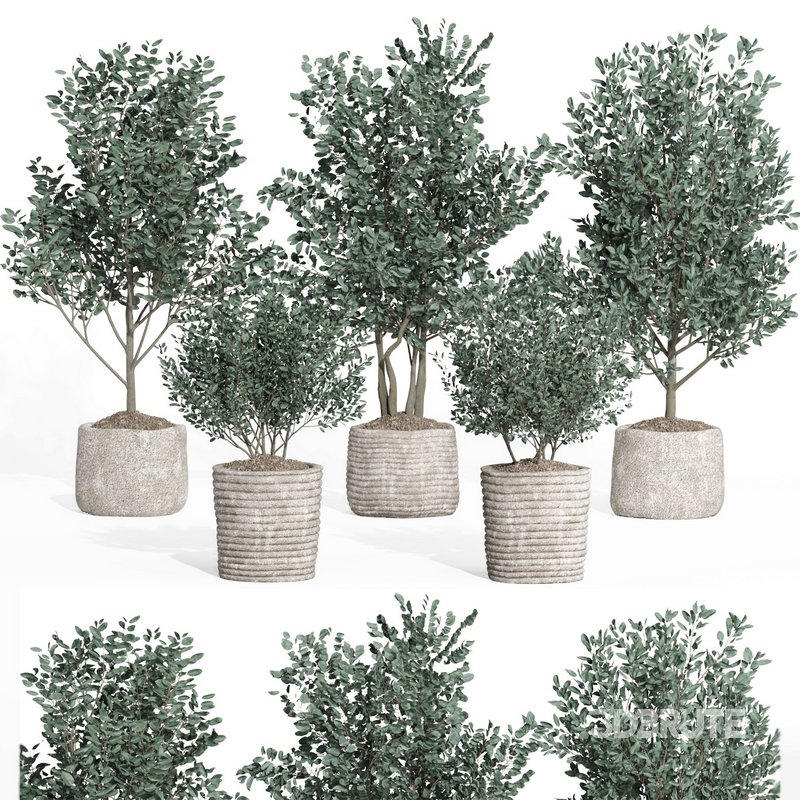 indoor plant set011 collection Image 1