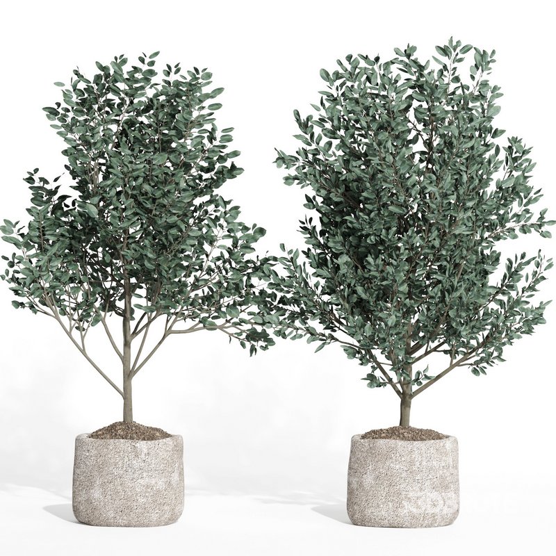 indoor plant set011 collection Image 3