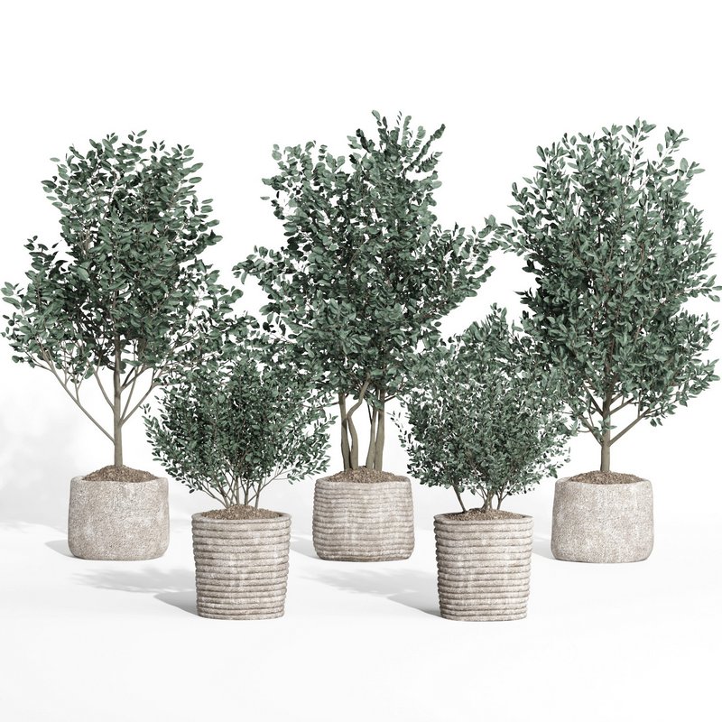 indoor plant set011 collection Image 4