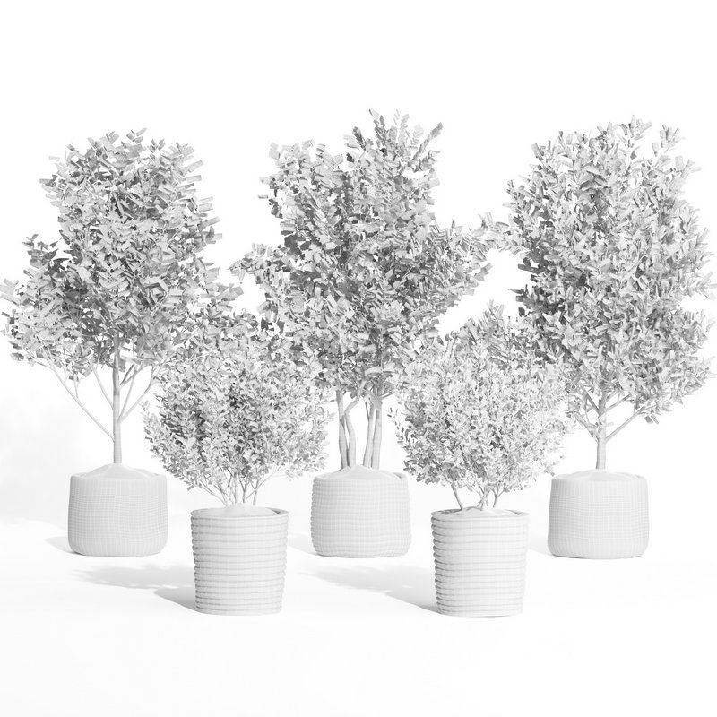 indoor plant set011 collection Image 5