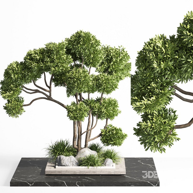 indoor plant set012 Image 1