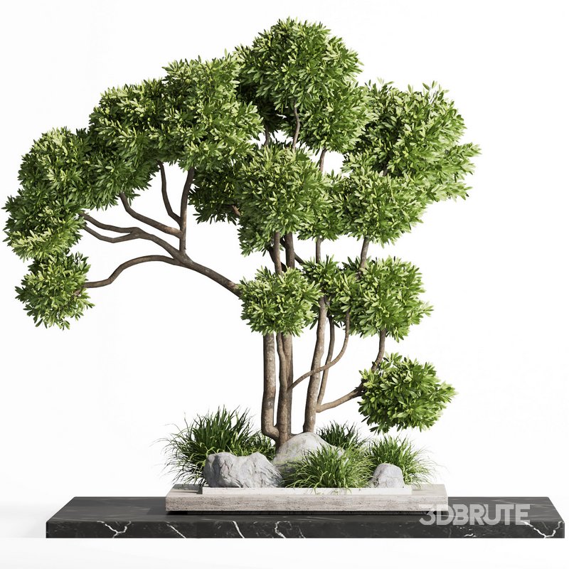 indoor plant set012 Image 2