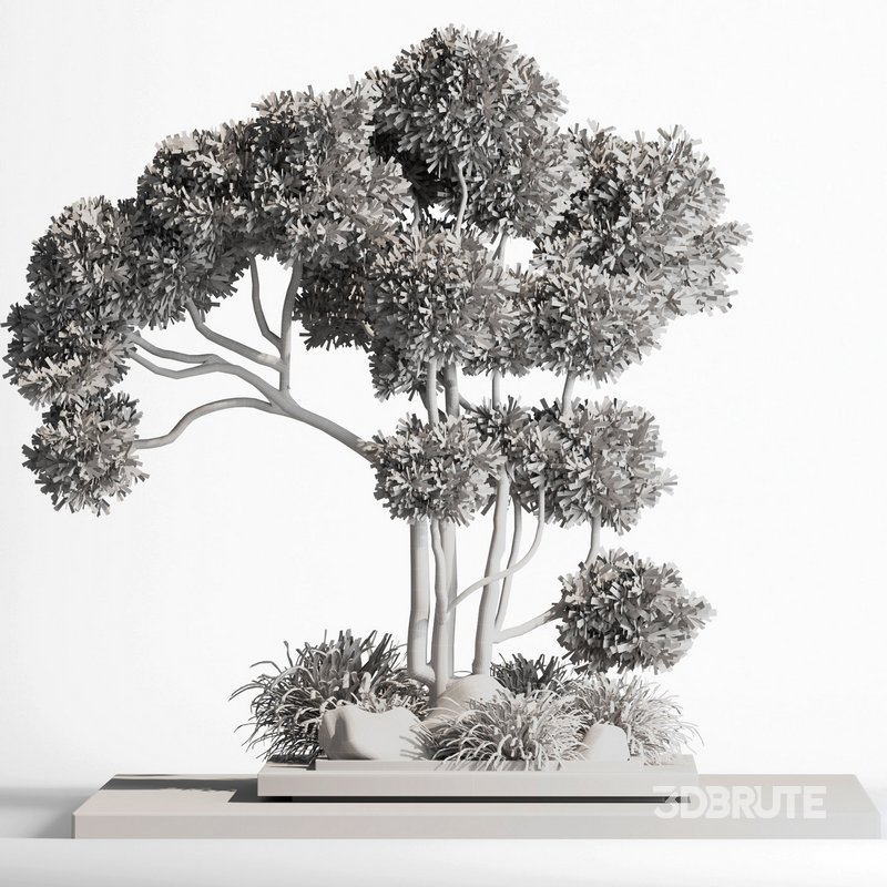 indoor plant set012 Image 4