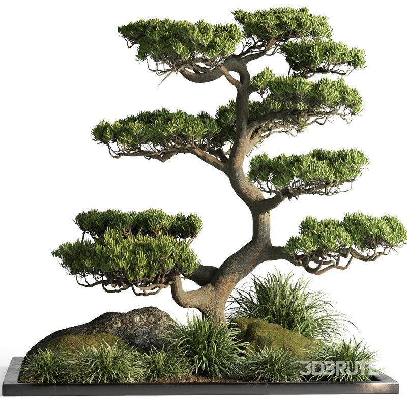 indoor plant set013 Image 1